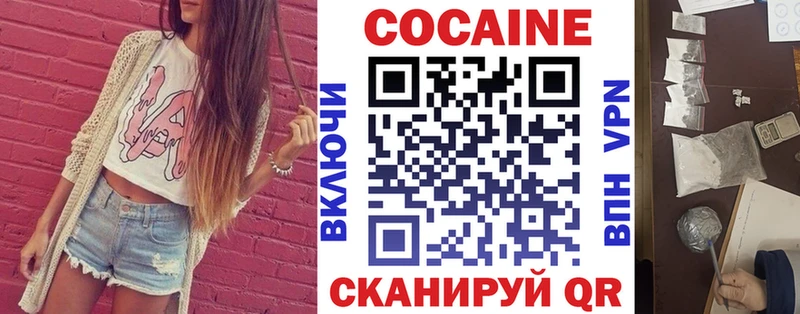 купить закладку  Нижний Ломов  COCAIN Fish Scale 