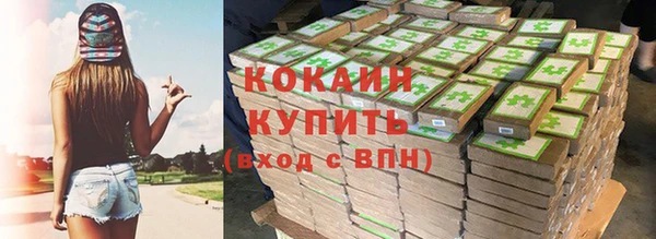 мет Елабуга
