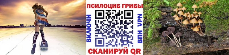 Псилоцибиновые грибы MAGIC MUSHROOMS  Нижний Ломов 